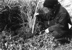 土地改良区の結束